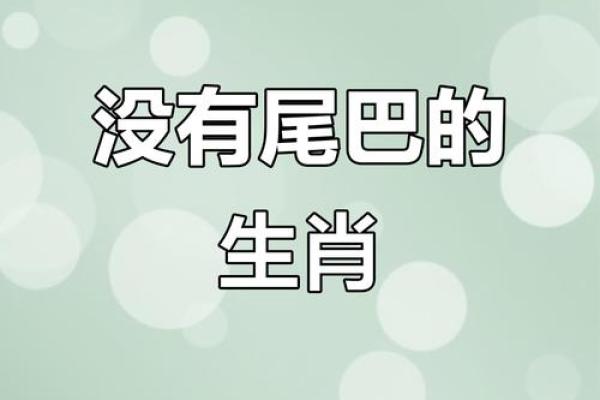 直是什么生肖 直字代表哪个生肖动物