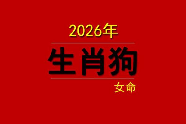 1970年出生属狗人在2026年兔年财运和健康运势如何看