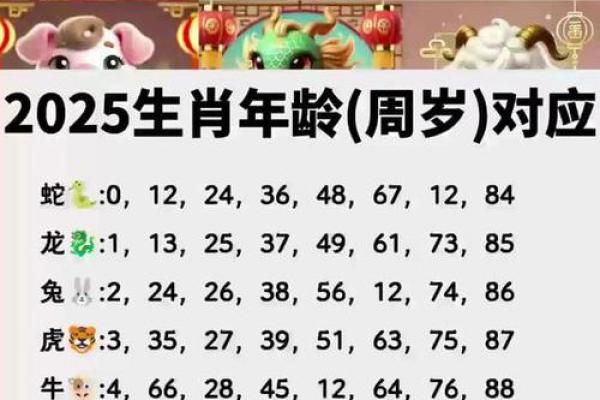 2022年是什么年生肖 2022年属相查询
