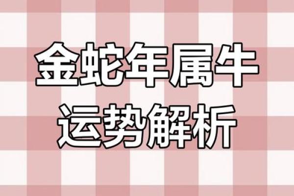属牛的人在2026年蛇年事业运势如何会有突破吗