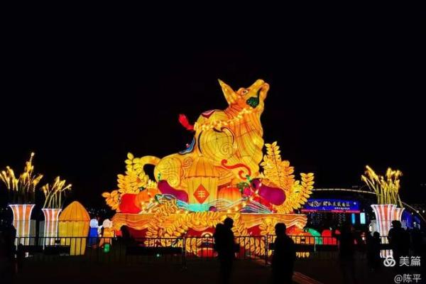 呈祥彩蝶有机会指什么生肖 呈祥彩蝶对应生肖查询