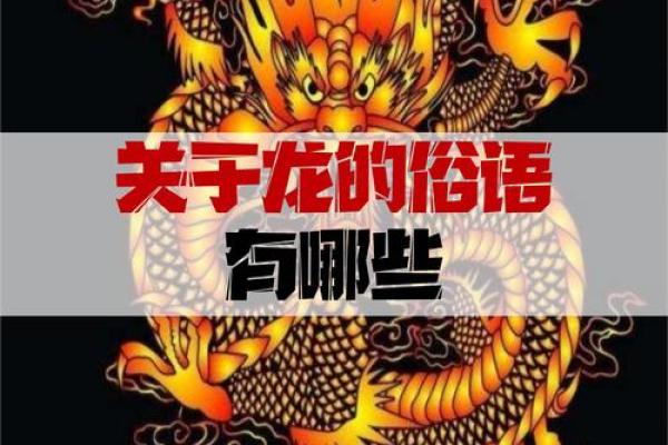 虎落无势是穷期指什么生肖 虎落平阳被犬欺打一生肖