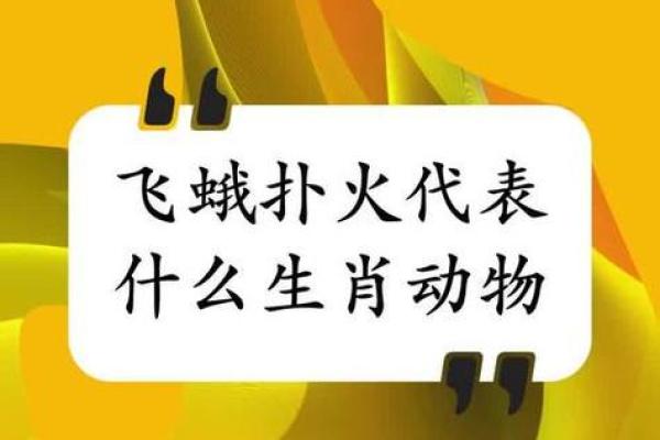 决指什么生肖 决字代表哪个生肖