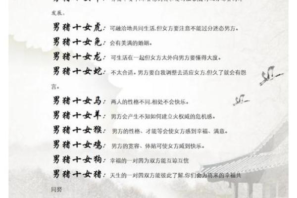 寄豭之猪是指什么生肖 寄豭之猪生肖含义解析