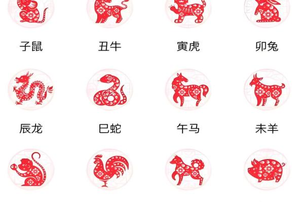 高人预言属鼠2026年运势详解，事业财运健康全解析