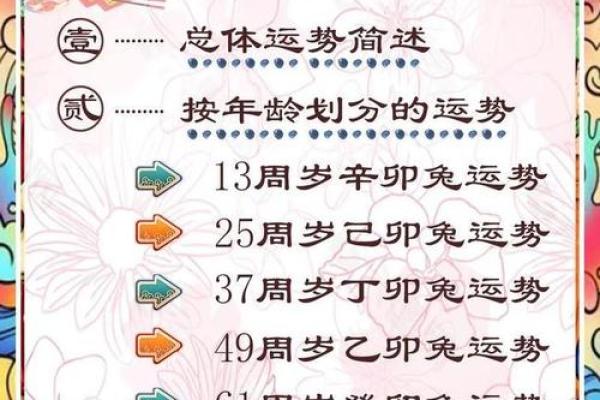 90马女2026每月运势如何？事业财运早知道