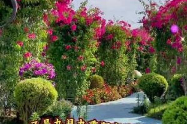 九九重阳指什么生肖 重阳节对应的生肖是什么