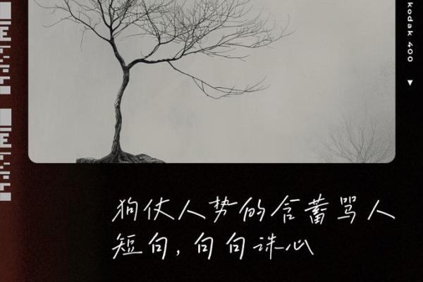 狗仗人势把善欺是什么生肖 狗仗人势打一生肖答案