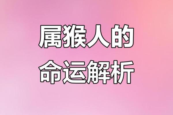 1980年属什么生肖 今年多大了 1980年出生属猴今年运势
