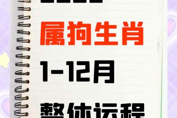 生肖属狗的人2026年全年运势详解及需要特别注意的月份提醒