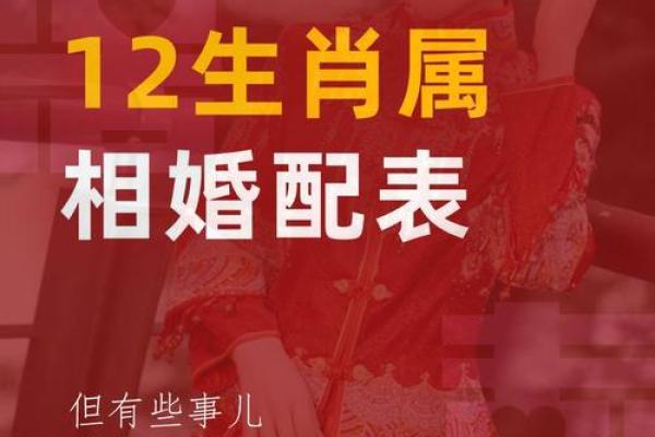 1974年属什么生肖配对最好 1974年属虎最佳婚配属相 1974年属什么生肖配对最好 1974年属虎最佳婚配属相