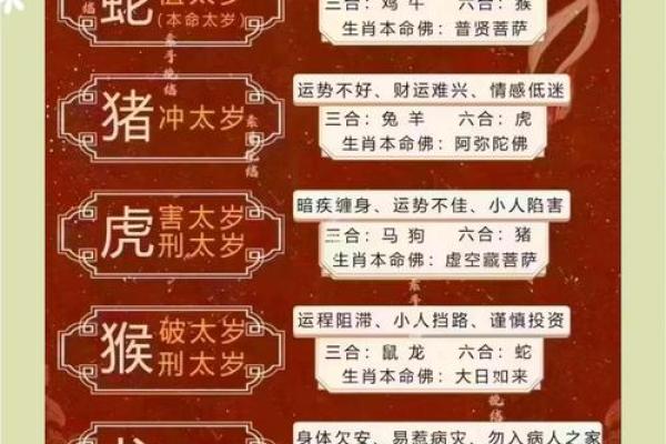 属鼠人2026年运势真的会很差吗？如何提前化解太岁影响？