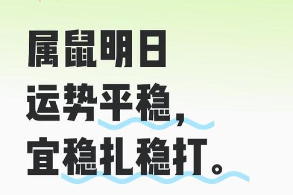 属鼠人2026年运势真的会很差吗？如何提前化解太岁影响？