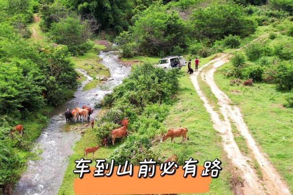 车到山前必有路打一生肖 最准的谜底解析