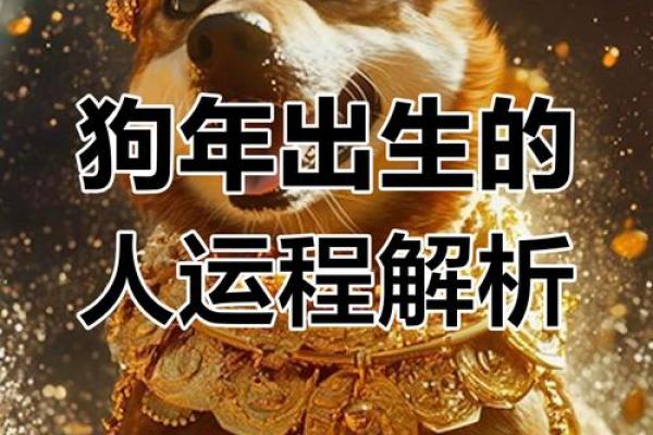 从命理角度分析，1958年属狗人士的健康运势与长寿指南。