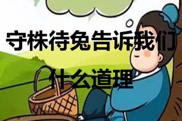 守株待兔什么生肖 守株待兔打一生肖答案