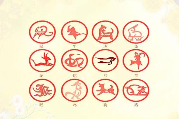 干代表什么生肖 干字在生肖中的寓意