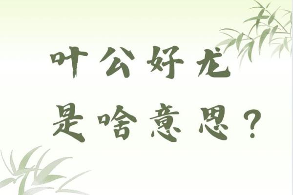 叶公好龙什么生肖 叶公好龙对应生肖查询
