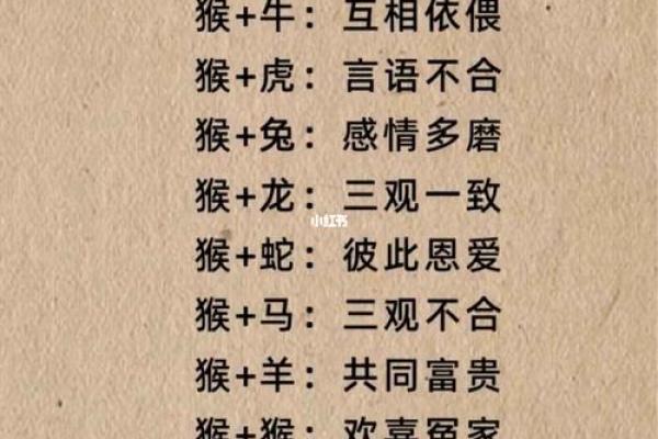 独一无二代表什么生肖 十二生肖哪个最独特稀有