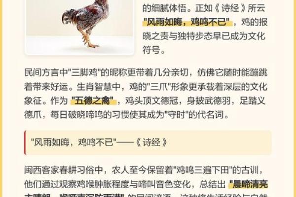 畜中只有三只爪是指什么生肖  词语释义解释落实