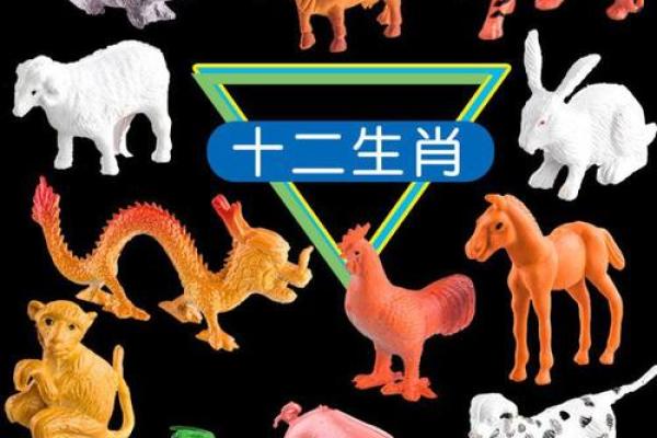 平时东西是什么生肖动物 生肖动物日常物品对照表