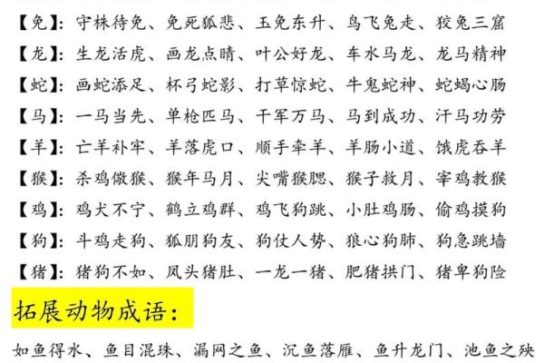 欢指什么生肖 欢字代表哪个生肖动物 欢指什么生肖 欢字代表哪个生肖动物