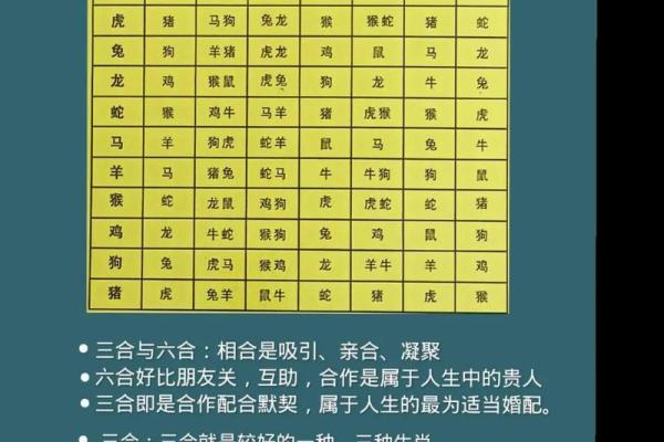 老虎和什么生肖相冲 属虎的和什么属相不合婚配