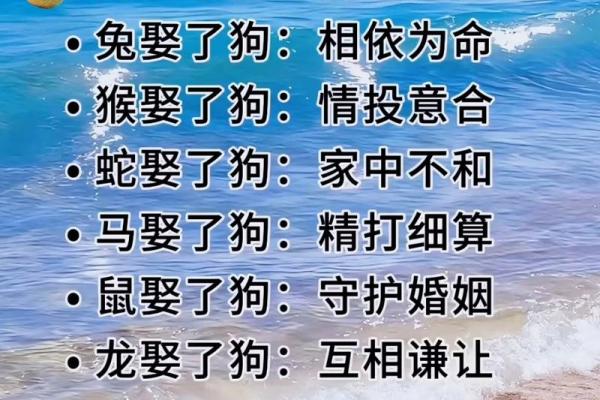 男大当婚是什么生肖动物 男大当婚指哪个生肖