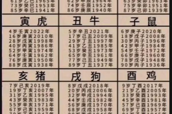 2002年9月属什么生肖 2002年9月出生属相查询