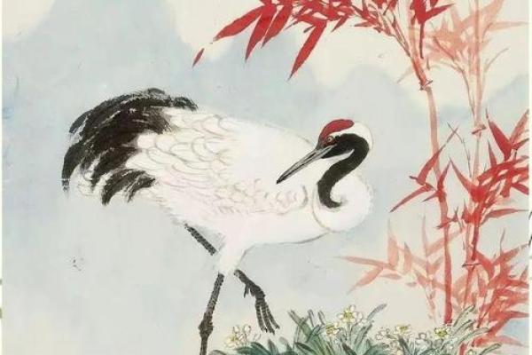鹤指什么生肖 鹤的生肖象征意义解析