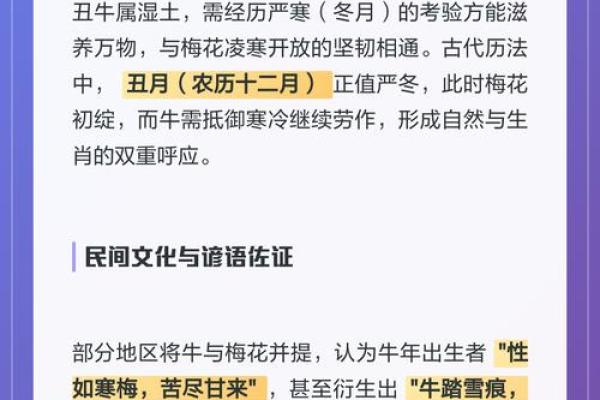梅花代表十二生肖是什么生肖 梅花对应生肖查询方法