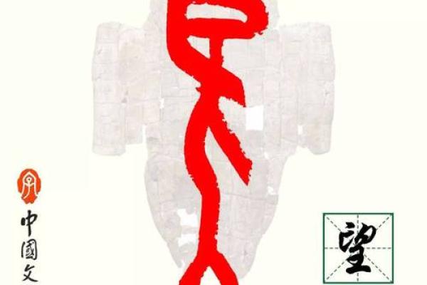 望指的是什么生肖 望字代表什么动物生肖