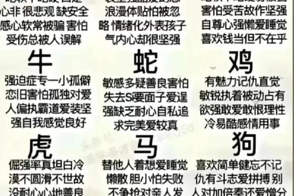 孤魂野鬼是什么生肖动物 孤魂野鬼对应哪个生肖