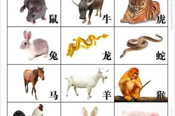 孤魂野鬼是什么生肖动物 孤魂野鬼对应哪个生肖