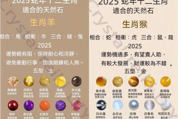 17是什么生肖 17岁属什么生肖今年