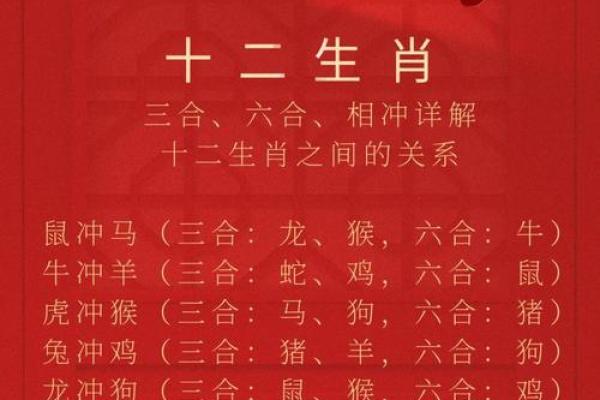 十全十美是什么生肖 十全十美代表哪个生肖