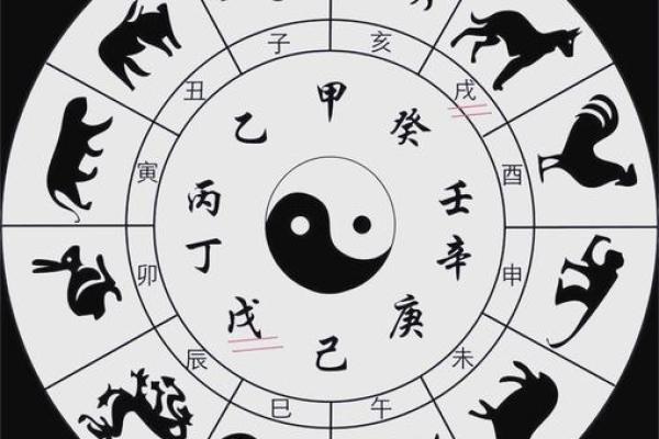 戍属什么生肖 戍字对应生肖查询