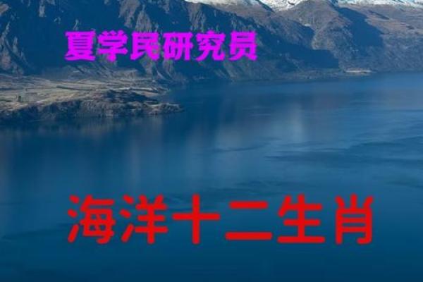 是非指什么生肖 生肖是非查询方法