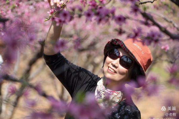 人面桃花指的是什么生肖有什么寓意