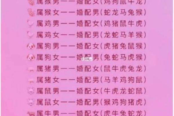 女属猴男属龙婚配是否相合？解析生肖配对关键点