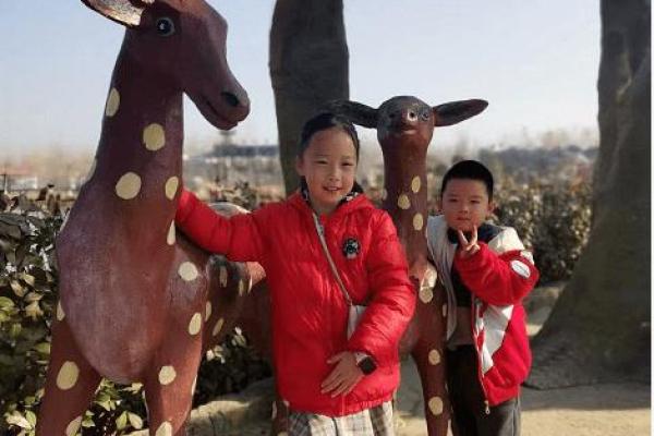 寸草春晖打一个生肖  词语释义解释落实