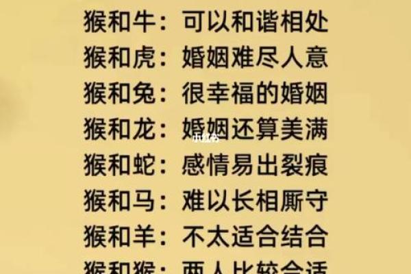 五湖四海生肖 生肖配对查询婚姻匹配