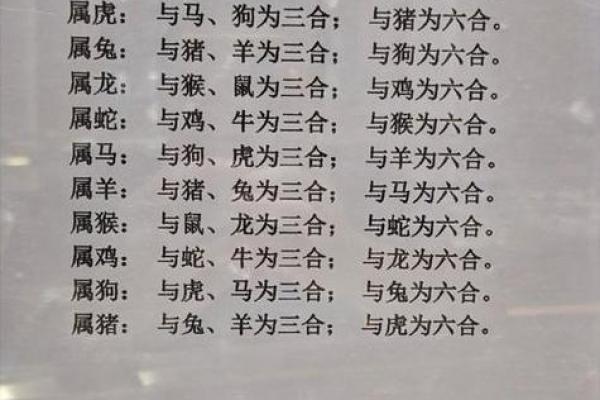 单枪匹马对应的生肖是哪个 个人独立能力分析