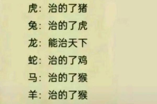 刘德华属什么生肖  词语释义解释落实