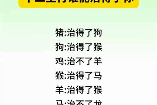 哪些生肖容易涉及违法行为需要警惕