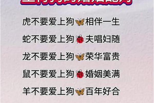 属狗的人一生中最重要的两位贵人是谁？他们如何帮助属狗者逢凶化吉