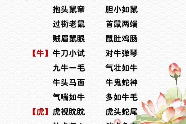 呆若木鸡是什么生肖  词语释义解释落实