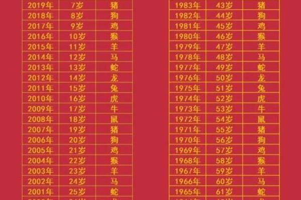 三妻四妾打一生肖是什么生肖  词语释义解释落实