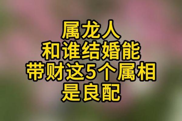 两人都属龙结婚在命理上会有哪些利弊影响？