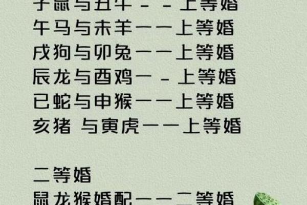 两人都属龙结婚在命理上会有哪些利弊影响？